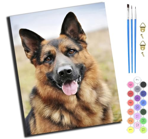 XIAOYOUQIAN Tiere Hunde Süß Und Interessant,Malen Nach Zahlen Erwachsene,Diy Bastelset Handgemalt Ölgemälde Geschen Kit Mit 3,Pinseln Und Acrylfarbe Knitterfreie Leinwand Kit,40X50 Cm,Mit Rahmen XIAOYOUQIAN Tiere Hunde Süß Und Interessant,Malen Nach Zahlen Erwachsene,Diy Bastelset Handgemalt Ölgemälde Geschen Kit Mit 3,Pinseln Und Acrylfarbe Knitterfreie Leinwand Kit,40X50 Cm,Mit Rahmen von XIAOYOUQIAN