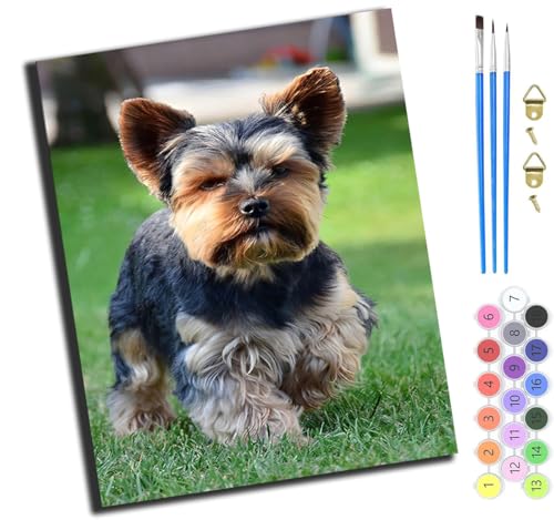 XIAOYOUQIAN Tiere Hunde Süß Und Interessant,Malen Nach Zahlen Erwachsene,Diy Bastelset Handgemalt Ölgemälde Kit Mit 3,Pinseln Und Acrylfarbe Leinwand Kit,Geschenkideen,40X50 Cm,Mit Rahmen von XIAOYOUQIAN