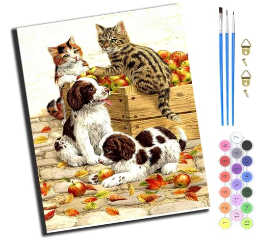 XIAOYOUQIAN Tiere Hunde Und Katzen,Malen Nach Zahlen Erwachsene,Diy Ölgemälde Leinwand Kit Mit Pinseln Und Acrylfarbe Für Home Haus Deko,50X40Cm,Mit Rahmen von XIAOYOUQIAN
