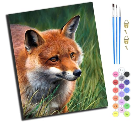 XIAOYOUQIAN Tierfuchs,Malen Nach Zahlen Erwachsene,Diy Ölgemälde Leinwand Kit Mit Pinseln Und Acrylfarbe Für Home Haus Deko,50X40Cm,Mit Rahmen XIAOYOUQIAN Tierfuchs,Malen Nach Zahlen Erwachsene,Diy Ölgemälde Leinwand Kit Mit Pinseln Und Acrylfarbe Für Home Haus Deko,50X40Cm,Mit Rahmen von XIAOYOUQIAN