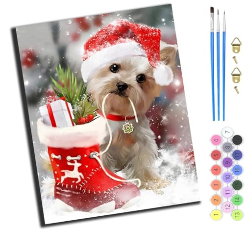 XIAOYOUQIAN Tierhund Und Weihnachtsmütze Schuhe,Malen Nach Zahlen Erwachsene,Diy Ölgemälde Leinwand Set Mit 3 Pinsel Und Acrylpigment Für Geburtstag Deko Geschenk,40X50 Cm,Mit Rahmen von XIAOYOUQIAN