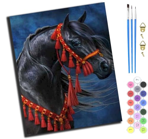 XIAOYOUQIAN Tierisches Schönes Schwarzes Pferd,Malen Nach Zahlen Erwachsene,Diy Handgemalt Ölgemälde Kit,40X50 Cm,Paint By Numbers Adult Mit 3,Pinseln Und Acrylfarbe Leinwand Kit,Mit Rahmen von XIAOYOUQIAN