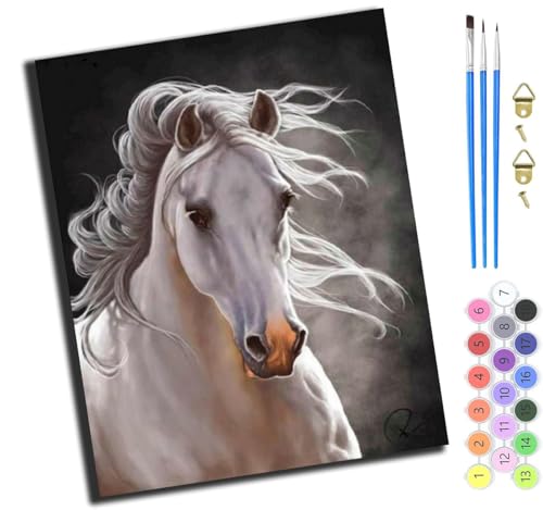 XIAOYOUQIAN Tierisches Schönes Weißes Pferd,Diy Ölgemälde Malen Nach Zahlen Erwachsene Kinder,40X50Cm Handgemalte Geschenke Zahlenmalerei Ab 5 Öl Wandkunst Haus Dekoration Malen,Mit Rahmen XIAOYOUQIAN Tierisches Schönes Weißes Pferd,Diy Ölgemälde Malen Nach Zahlen Erwachsene Kinder,40X50Cm Handgemalte Geschenke Zahlenmalerei Ab 5 Öl Wandkunst Haus Dekoration Malen,Mit Rahmen von XIAOYOUQIAN
