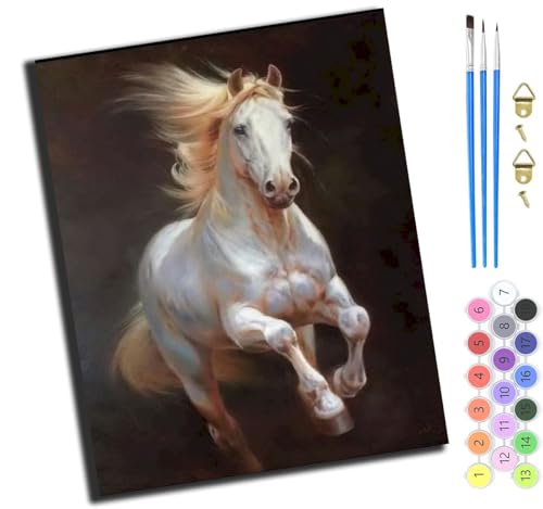 XIAOYOUQIAN Tierisches Schönes Weißes Pferd,Malen Nach Zahlen Erwachsene,Diy Bastelset Handgemalt Ölgemälde Kit Mit 3,Pinseln Und Acrylfarbe Leinwand Kit,Geschenkideen,40X50 Cm,Mit Rahmen von XIAOYOUQIAN