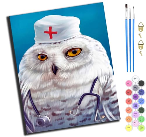 XIAOYOUQIAN Tierkrankenschwester Cartoon Eule,Malen Nach Zahlen Erwachsene,Happy Painting Kits,Bastelset Leinwand Pinsel,Handgemalt Ölgemälde Kinder 40X50Cm,Mit Rahmen von XIAOYOUQIAN