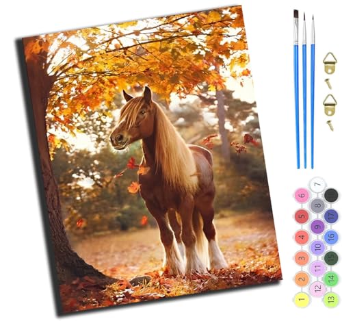 XIAOYOUQIAN Tierpony,Malen Nach Zahlen Erwachsene,Diy Handgemalt Ölgemälde Kit,Groß Diy Ölgemälde Kit Für Anfänger,Knitterfreie Leinwand,40X50Cm，Mit Rahmen von XIAOYOUQIAN