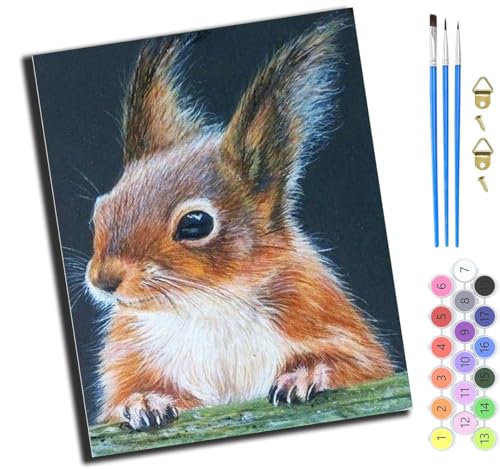 XIAOYOUQIAN Waldelfen,Malen Nach Zahlen Erwachsene,Paint By Numbers,Diy Handgemalt Ölgemälde Mit 3,Pinseln Und Acrylfarbe Knitterfreie Leinwand Kit,40X50 Cm,Ohne Rahmen von XIAOYOUQIAN