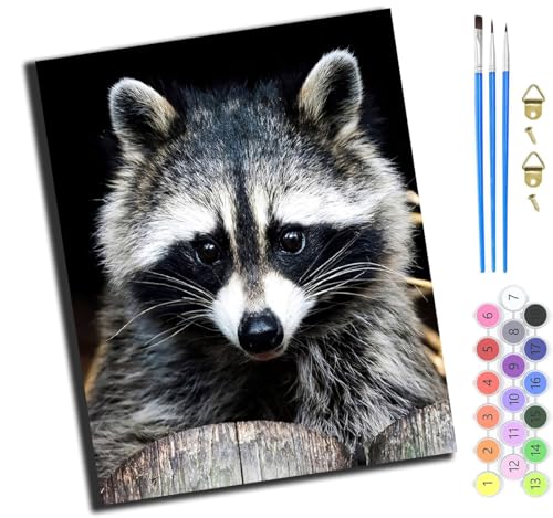 XIAOYOUQIAN Waschbär,Malen Nach Zahlen Erwachsene,Diy Handgemalt Ölgemälde Kit,Inklusive Pinsel Und Acrylfarben,40X50 Cm,Ohne Rahmen XIAOYOUQIAN Waschbär,Malen Nach Zahlen Erwachsene,Diy Handgemalt Ölgemälde Kit,Inklusive Pinsel Und Acrylfarben,40X50 Cm,Ohne Rahmen von XIAOYOUQIAN