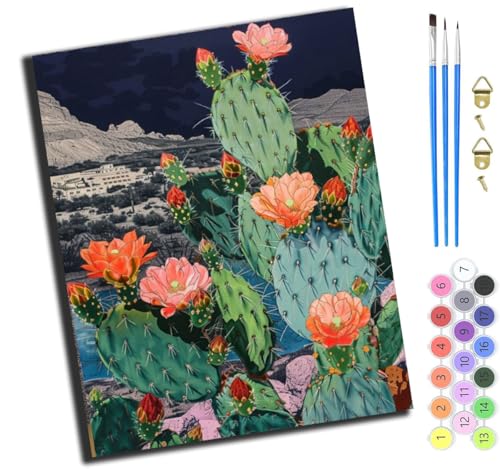 XIAOYOUQIAN Wüstenpflanze Kaktusblüte,Malen Nach Zahlen Erwachsene,Diy Ölgemälde Leinwand Kit Mit Pinseln Und Acrylfarbe Für Home Haus Deko,50X40Cm,Ohne Rahmen von XIAOYOUQIAN