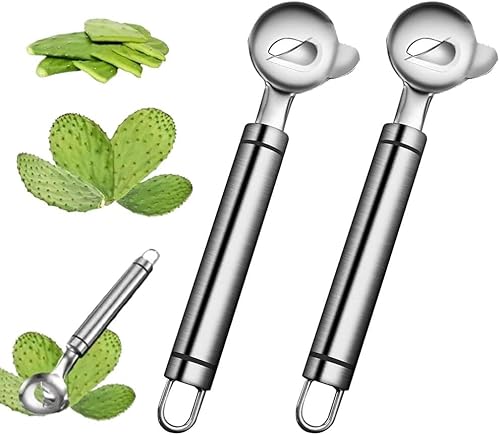 Kaktusschäler aus Edelstahl, Multifunktions-Kaktusschälmesser, zum Kaktusschälen, Nudelschneiden und Kochen von XIBDGNTNE
