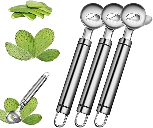 Kaktusschäler aus Edelstahl, Multifunktions-Kaktusschälmesser, zum Kaktusschälen, Nudelschneiden und Kochen von XIBDGNTNE