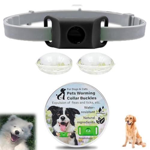 Clavya Tags for Dogs, Clavya Natural Collar for Dog, Funny Dog Tags, Waterproof Design, Adjustable Size for Small Medium and Large Dog (Black) von XIBHDN