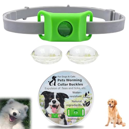 Clavya Tags for Dogs, Clavya Natural Collar for Dog, Funny Dog Tags, Waterproof Design, Adjustable Size for Small Medium and Large Dog (Green) von XIBHDN