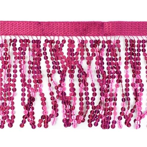 XIEweiZHI 1-5M Pailletten Quaste Fringe Tanz Kleid Hause Textil Spitze Trims Band Tasche Dekoration Fransen DIY Kleid Stoff nähen Zubehör für Kleidung DIY(Rose Red,5Meters) von XIEweiZHI