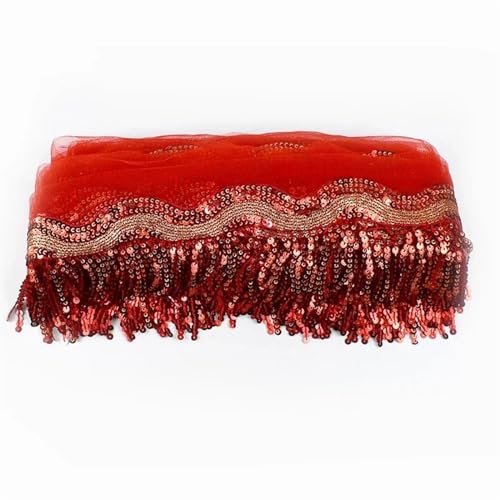 XIEweiZHI 2/5 Yards 8 cm Pailletten Quasten Spitze Fransen Embroid Spitze Band Latin Dance Kleid Leistung Kleidung Dekor Schnürsenkel DIY Nähen Zubehör für Kleidung DIY(RedGold,2 Yard_8CM) von XIEweiZHI