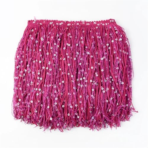 XIEweiZHI Pailletten-Fransen-Quasten-Spitze for Nähen von lateinamerikanischen Kleidern, Spitzenbesatz, DIY-Zubehör für Kleidung DIY(Rose,20cm-5Meters) von XIEweiZHI