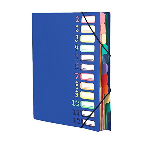 A4 Dokumentenmappe Aktenordner 12 Taschen Sortierordner Mappe Regenbogen Kunststoff Ordner Bunte Etiketten Büroordner Fächermappe Groß Kapazität Brief Rechnungen Dokument Ablageordner für Büro Schule A4 Dokumentenmappe Aktenordner 12 Taschen Sortierordner Mappe Regenbogen Kunststoff Ordner Bunte Etiketten Büroordner Fächermappe Groß Kapazität Brief Rechnungen Dokument Ablageordner für Büro Schule von XINCHI