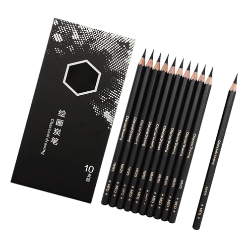 Premium Charcoal Sketch Pencil (10pcs) Holzzeichnungen Für Die Beschattung Von Und Professionelle Kunstwerkestifte Zum Skizzieren von XINGLIDA