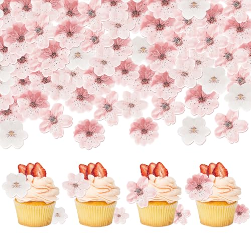 75 Stück Kirschblüten Tortendeko Blumen Cupcake Deko Kirschblüte Tortendeko Mädchen Torten Blumen Essbar Cupcake Deko für Macarons Hochzeit Geburtstag Jubiläum Kirschblüte Essbar 75 Stück Kirschblüten Tortendeko Blumen Cupcake Deko Kirschblüte Tortendeko Mädchen Torten Blumen Essbar Cupcake Deko für Macarons Hochzeit Geburtstag Jubiläum Kirschblüte Essbar von XINKEJIA