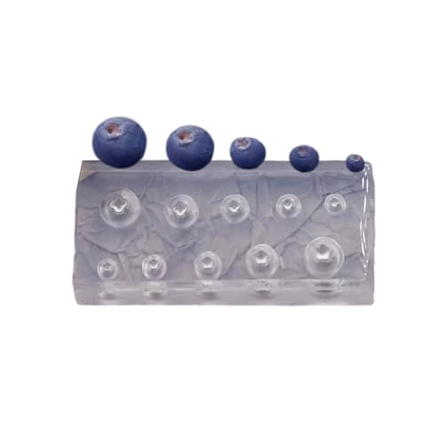 Praktische Blaubeer-Silikonharz-Form für Epoxidguss, Schmuck, Geschirr, Tablett, Bastelbedarf, Projekte von XITEA