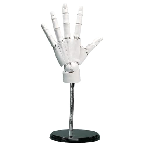 Flexible Handmodell, artikulierter Hand 1: 1, linke Modell mit beweglichen Gelenk- und Basis -DIY -freundlichen PVC zum Zeichnen, Malen, Skizzieren (weiß) von XJKLBYQ
