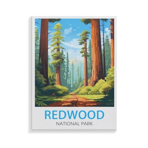 XJUfW Malen nach Zahlen, Redwood Nationalpark,Malen nach Zahlen Erwachsene und Kinder, 20x30cm(AA-103 XJUfW Malen nach Zahlen, Redwood Nationalpark,Malen nach Zahlen Erwachsene und Kinder, 20x30cm(AA-103 von XJUfW