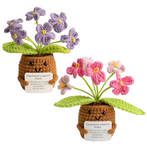 XLSBZ 2er Set Dankeschön Geschenk Pocket Hug Vergissmeinnicht-Blumen Geschenk Positive Kartoffel Positive Geschenke Häkelblumen für Gute Besserung von XLSBZ
