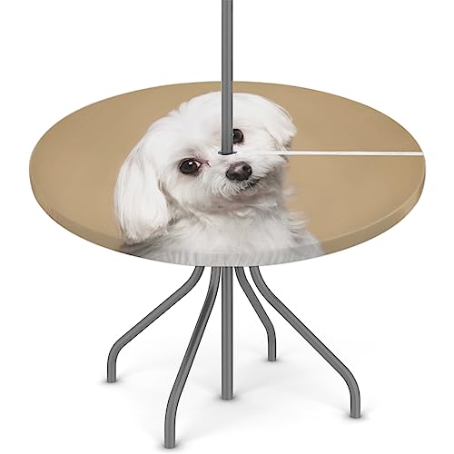 XMNYGJ Runde Tischdecke mit niedlichem Malteserhund, mit Schirmloch, Reißverschluss, für Terrasse, Picknicktisch, elastische Outdoor-Tischabdeckung, wasserdicht und schmutzabweisend, 114,4 - 142,2 cm von XMNYGJ