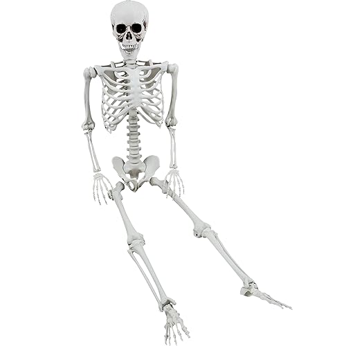 XONOR 165cm Halloween bewegliches Skelett Realistische menschliche Skelette Ganzkörperknochen mit beweglichen Gelenken für die Halloween-Dekoration XONOR 165cm Halloween bewegliches Skelett Realistische menschliche Skelette Ganzkörperknochen mit beweglichen Gelenken für die Halloween-Dekoration von XONOR