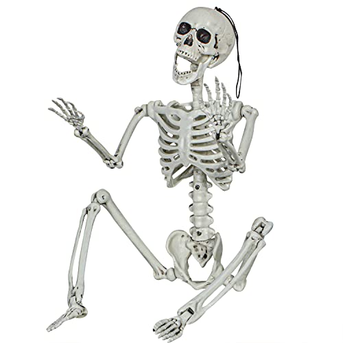 XONOR 91 cm Halloween-Skelett, realistisches menschliches Kunststoff-Skelett mit beweglichen Gelenken für Spukhaus-Requisiten, Dekorationen von XONOR
