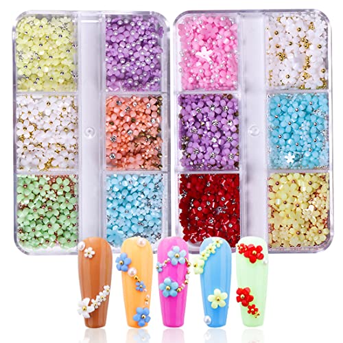 XPEX 2 Schachteln 6 Gitter Blumen Nail Art Charms Flower Nail Art Strasssteine Nägel Zubehör, 3D Perle Blumen Nägel,Schön und charmant,geeignet für Nägel,Kunsthandwerk (A) von XPEX