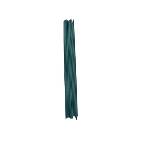 XUCZHAI 20 Stück 30/40 cm grüne Blumenstiel-Stäbchen for Selbermachen, Blumenmaterial, handgefertigtes Drahtstiel-Zubehör(30CM) von XUCZHAI