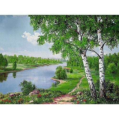 XURAN Diamant Stickerei Landschaft Full Drill Diamant Malerei Weiß Birke Kreuzstich Diamant Handbuch Hobby-30cm x 40cm von XURAN