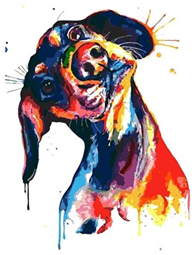 XUSANSHI DIY Diamond Painting Set Farbe Hund-8 5D Full DIY Crystal Strass Stickerei Painting Diamant Arts Craft für Home Wand-Decor 40 x50 cm Rahmenlos XUSANSHI DIY Diamond Painting Set Farbe Hund-8 5D Full DIY Crystal Strass Stickerei Painting Diamant Arts Craft für Home Wand-Decor 40 x50 cm Rahmenlos von XUSANSHI