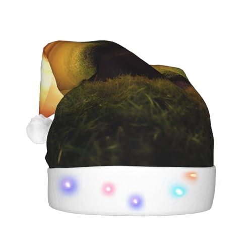 XVBCDFG Weihnachtsmütze für die Jagd, fliegende Wildenten am See, bedruckte LED-Weihnachtsmütze – beleuchtete Weihnachtsmütze für festliche Feiertage von XVBCDFG