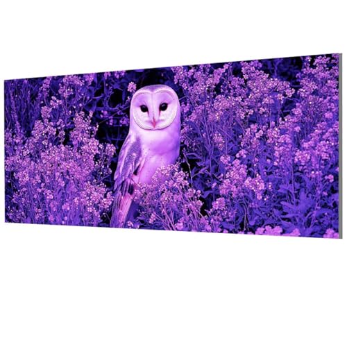 Eule Malen Nach Zahlen Erwachsene Groß XXL 60x120cm, Malen Nach Zahlen Pflanzen DIY Farbe Acrylfarbe ölgemälde Set mit Pinseln für Zimmer Deko Aesthetic, Geschenke für Frauen, Rahmenlos Model-1495 Eule Malen Nach Zahlen Erwachsene Groß XXL 60x120cm, Malen Nach Zahlen Pflanzen DIY Farbe Acrylfarbe ölgemälde Set mit Pinseln für Zimmer Deko Aesthetic, Geschenke für Frauen, Rahmenlos Model-1495 von XXDBBDOU