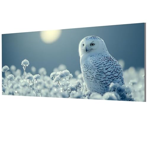 Eule Malen Nach Zahlen Erwachsene Groß XXL 60x120cm, Malen Nach Zahlen Tier DIY Farbe Acrylfarbe ölgemälde Set mit Pinseln für Zimmer Deko Wand Aesthetic, Geschenke für Frauen, Rahmenlos Model-1497 Eule Malen Nach Zahlen Erwachsene Groß XXL 60x120cm, Malen Nach Zahlen Tier DIY Farbe Acrylfarbe ölgemälde Set mit Pinseln für Zimmer Deko Wand Aesthetic, Geschenke für Frauen, Rahmenlos Model-1497 von XXDBBDOU