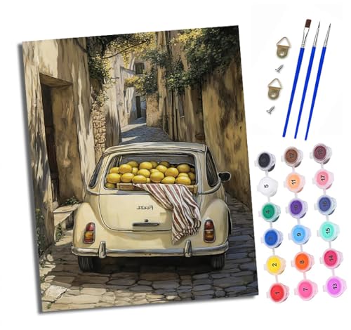Malen nach Zahlen Erwachsene Auto mit Zitronen DIY Handgemalt Ölgemälde Kit Paint by Numbers Adult Mit 3 - Pinseln und Acrylfarbe knitterfreie leinwand Kit - 40 X 50 CM von XXHXIE