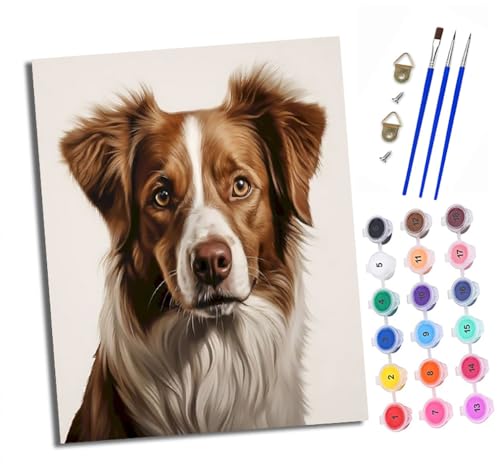 Malen nach Zahlen Erwachsene Braun-weißes Hundeporträt DIY Handgemalt Ölgemälde Kit Paint by Numbers Adult Mit 3 - Pinseln und Acrylfarbe Knitterfreie Leinwand set - 40 X 50 CM Malen nach Zahlen Erwachsene Braun-weißes Hundeporträt DIY Handgemalt Ölgemälde Kit Paint by Numbers Adult Mit 3 - Pinseln und Acrylfarbe Knitterfreie Leinwand set - 40 X 50 CM von XXHXIE