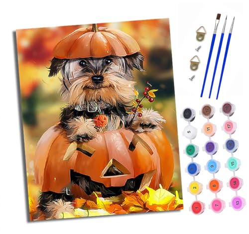 Malen nach Zahlen Erwachsene Welpe im Kürbis DIY Handgemalt Ölgemälde Kit Mit 3 - Pinseln und Acrylfarbe knitterfreie leinwand Kit - 40 X 50 CM Mit Rahmen von XXHXIE