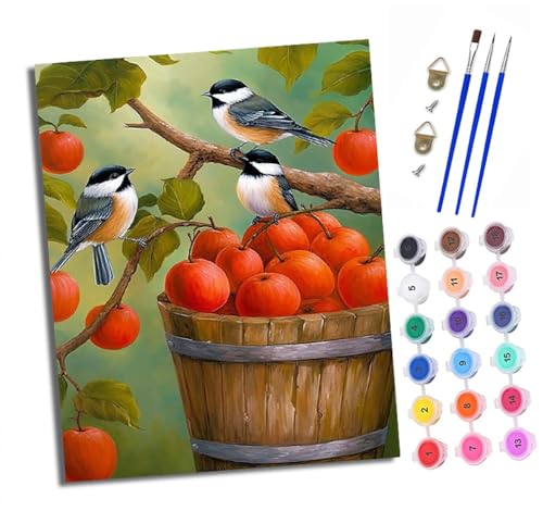 XXHXIE Malen Nach Zahlen Erwachsene-DIY Handgemalt Ölgemälde KitApfel und Vogel für Anfänger Mit 3-Pinseln und Acrylfarbe Handgemalt öLgemäLde Kit Als Geschenk 40x50cm (Rahmenlos) von XXHXIE