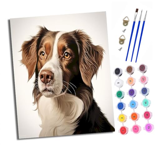 XXHXIE Malen Nach Zahlen Erwachsene-DIY Handgemalt Ölgemälde KitBraun-weißes Hundeporträt für Anfänger Mit 3-Pinseln und Acrylfarbe Handgemalt öLgemäLde Kit Als Geschenk 40x50cm (Rahmenlos) von XXHXIE