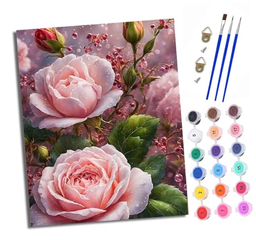 XXHXIE Malen Nach Zahlen Erwachsene-DIY Handgemalt Ölgemälde KitRosa Rose mit Wassertropfen für Anfänger Mit 3-Pinseln und Acrylfarbe Handgemalt öLgemäLde Kit Als Geschenk 40x50cm (Rahmenlos) von XXHXIE