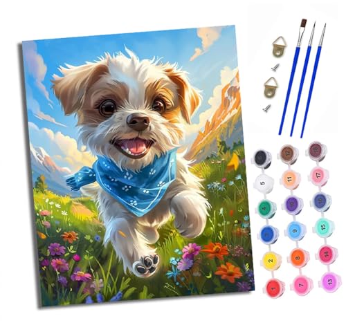 XXHXIE Malen nach Zahlen DIY Handgemalt Ölgemälde Set für Anfänger und Jugendliche Blauer Schal Welpe läuft Pinsel und Acrylfarbe 40x50 cm ideal als Geschenk oder zur Heimdekoration XXHXIE Malen nach Zahlen DIY Handgemalt Ölgemälde Set für Anfänger und Jugendliche Blauer Schal Welpe läuft Pinsel und Acrylfarbe 40x50 cm ideal als Geschenk oder zur Heimdekoration von XXHXIE