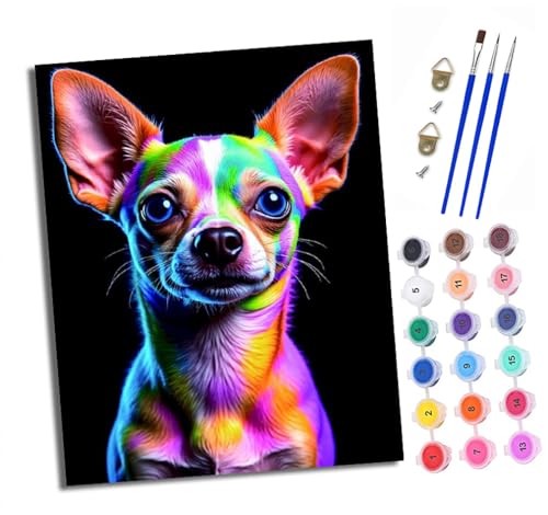 XXHXIE Malen nach Zahlen DIY Handgemalt Ölgemälde Set für Anfänger und Jugendliche Bunter Chihuahua Pinsel und Acrylfarbe 40x50 cm Mit Rahmen ideal als Geschenk oder zur Heimdekoration von XXHXIE