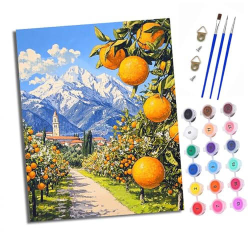 XXHXIE Malen nach Zahlen DIY Handgemalt Ölgemälde Set für Anfänger und Jugendliche Orange Garden Schneebergstadt Pinsel und Acrylfarbe 40x50 cm Mit Rahmen ideal als Geschenk oder zur Heimdekoration von XXHXIE