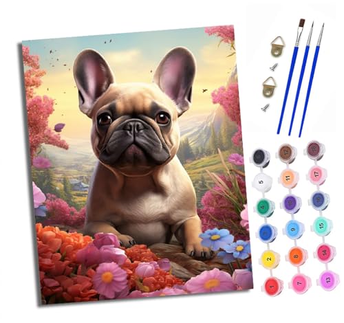 XXHXIE Malen nach Zahlen DIY Handgemalt Ölgemälde Set für Anfänger und Jugendliche Süße französische Bulldogge in den Blumen Pinsel und Acrylfarbe 40x50 cm ideal als Geschenk oder zur Heimdekoration von XXHXIE