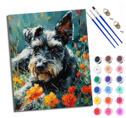 XXHXIE Malen nach Zahlen DIY Handgemalt Ölgemälde Set für Anfänger und Jugendliche Süßer und modischer Zwergspitz Pinsel und Acrylfarbe 40x50 cm ideal als Geschenk oder zur Heimdekoration von XXHXIE