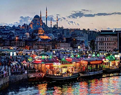 XXYHYQHJD Istanbul Turkey Landscape Malen Nach Zahlen Erwachsene für Kinder DIY Handgemalt ölgemälde Home Haus Deko Geschenk auf heimdekoration Vorgedruckt Leinwand Anfänger Acrylfarben Ohne Rahmen von XXYHYQHJD