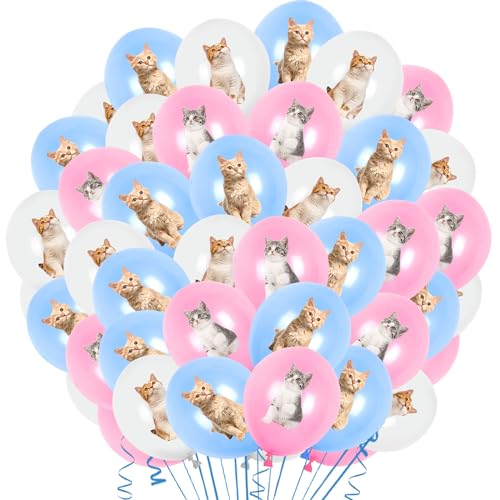 Katzen Geburtstagsdeko Mädchen,42 Pcs Katze Luftballons Kindergeburtstags Deko,Tiere Latex Helium Ballons Geburtstags Deko Jungen,Party Supplies für Themed Dekoration von XYWOQS